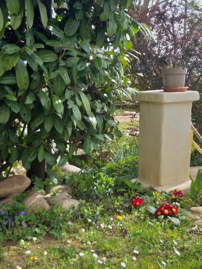 Villa Amai Lequio Tanaro Zewnętrze zdjęcie