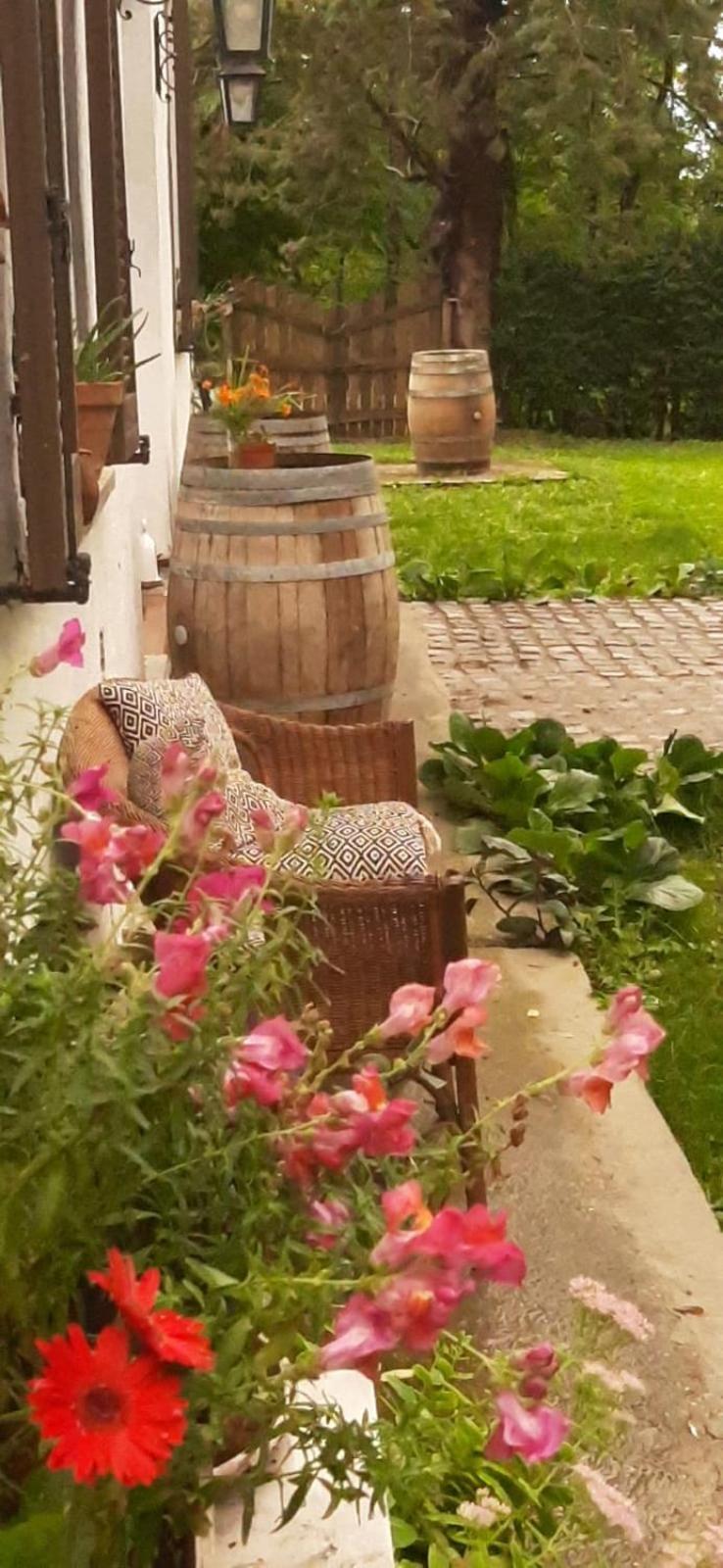 Villa Amai Lequio Tanaro Zewnętrze zdjęcie