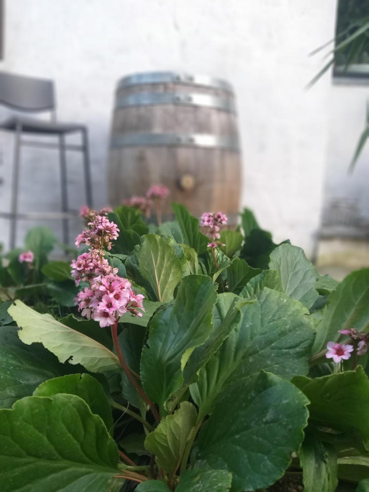Villa Amai Lequio Tanaro Zewnętrze zdjęcie